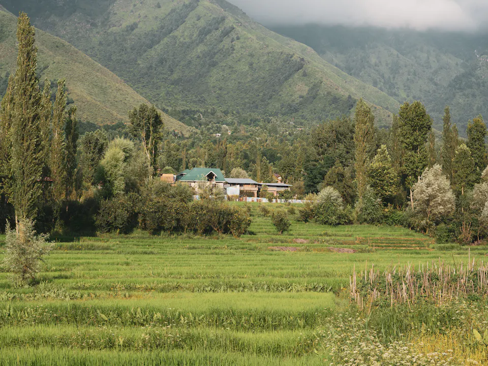 Kashmir green meadow and mountain landscape for Yusmarg